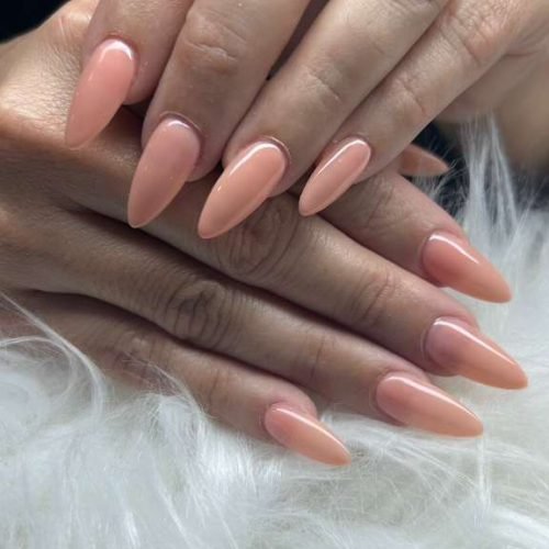 WhatsApp Image 2026-02-19 at 9.55.10 AM (5)