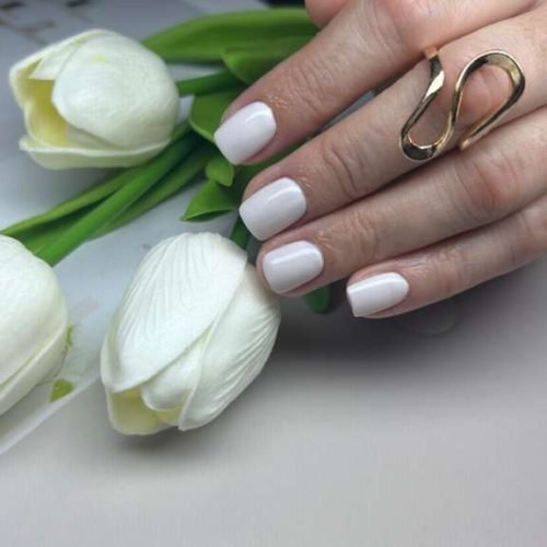 WhatsApp Image 2026-02-19 at 9.55.13 AM (3)