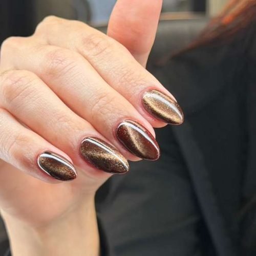 WhatsApp Image 2026-02-19 at 9.55.14 AM (1)